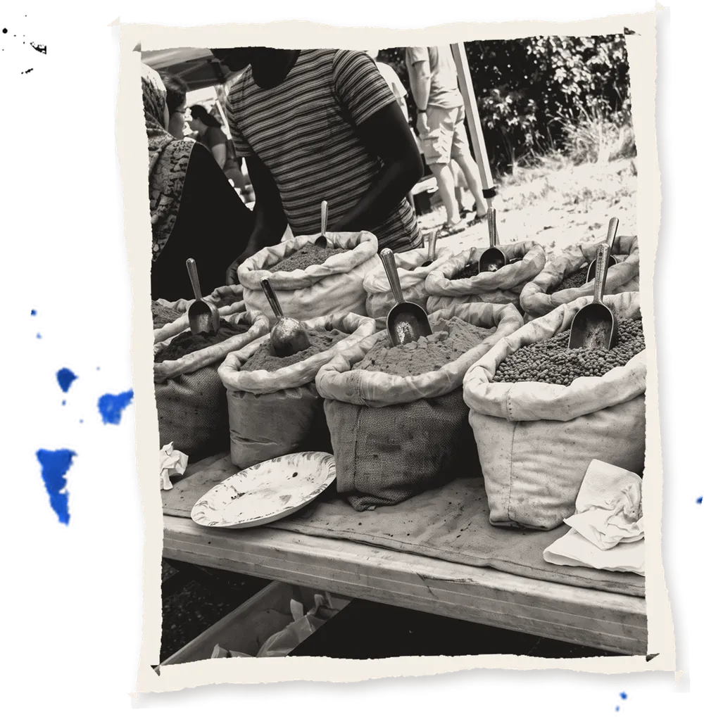 Open sacks of spices on a market table
